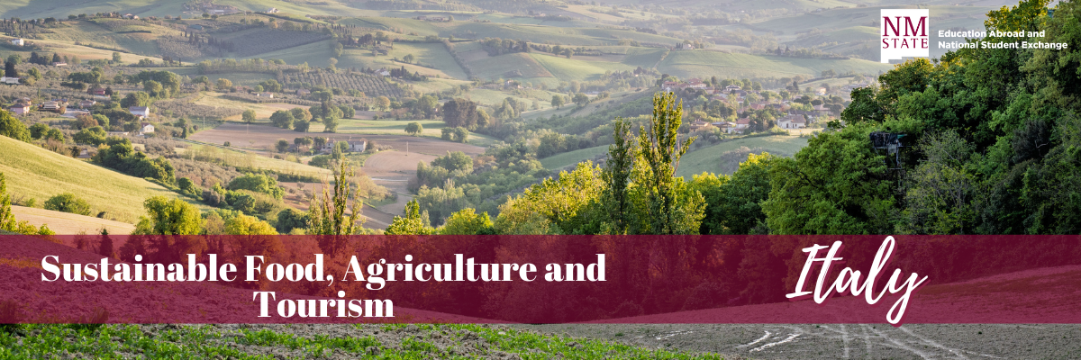 Sustainable Food, Agriculture and Tourism in Italy with NMSU Education Abroad and National Student Exchange banner of Italian hills and countryside